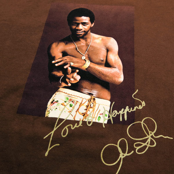 SUPREME シュプリーム 22SS AL GREEN TEE アル グリーン Tシャツ ブラウン ショートスリーブ 半袖